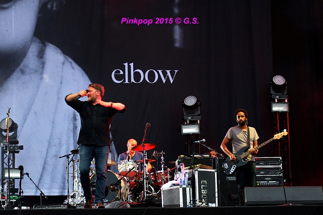 Elbow  (28).JPG
